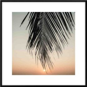 Obraz z liściem palmy TROPICAL 20x20 cm