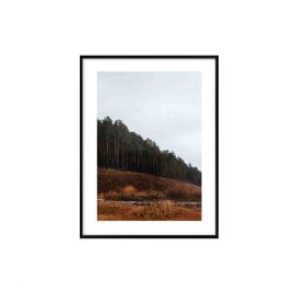 Obraz jesiennego lasu DENVER 40.8x30.8 cm