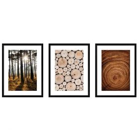 Zestaw obrazów las i drewno KNOR 30x40 cm