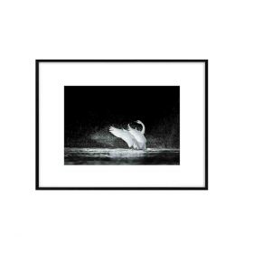 Obraz czarno-biały DENVER 50.8x40.8cm
