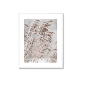 Obraz z ośnieżoną trawą DENVER 50.8x40.8cm