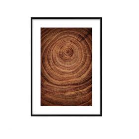 Obraz ze słojami drewna DENVER 70.8x50.8 cm