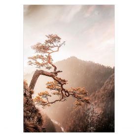 Obraz BROWN TREE 50x70x2cm